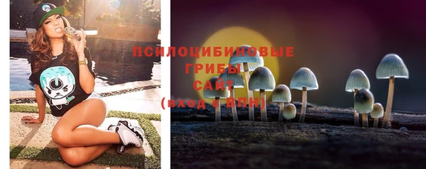 дживик Вязники