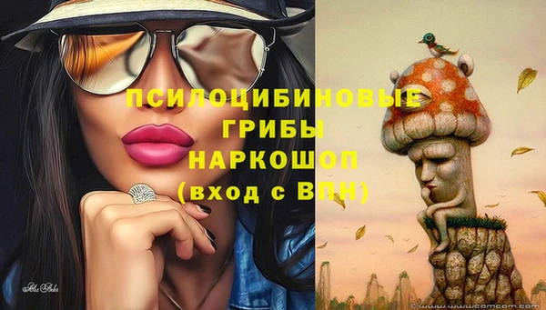 соль курить ск Вяземский