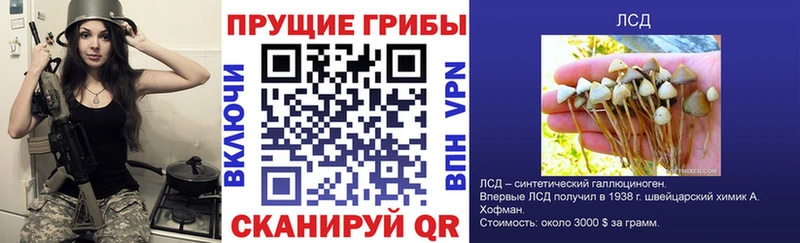 Галлюциногенные грибы мицелий  цена   блэк спрут сайт  Очёр 